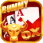 rummy game free